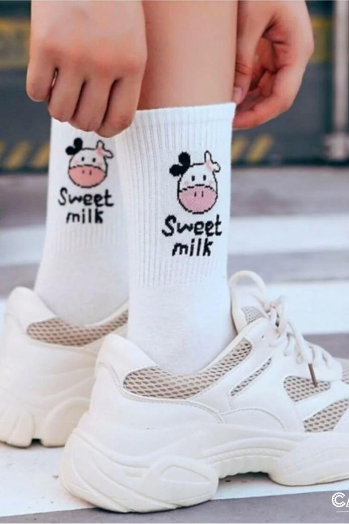 5'li Milk Çemberler Desenli Spor Çorap Kutusu