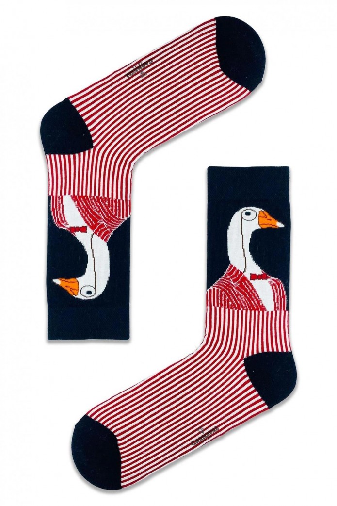 5'li Hayvanlar Tasarımlı Renkli Desenli Çorap Seti