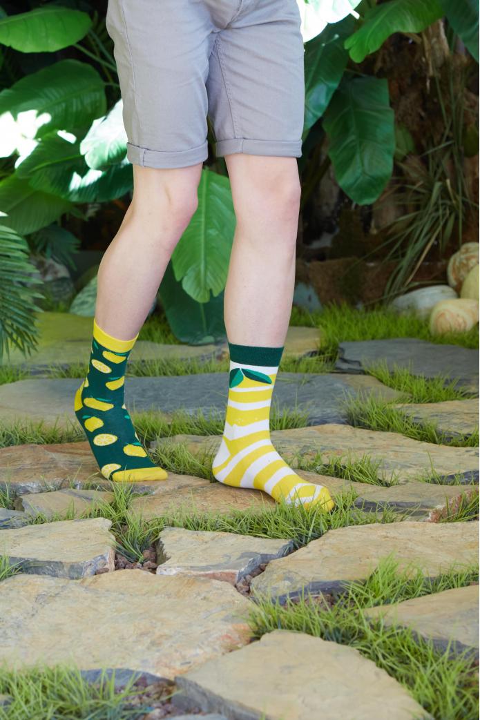 Sağlı Sollu Limon Desenli Renkli Çorap